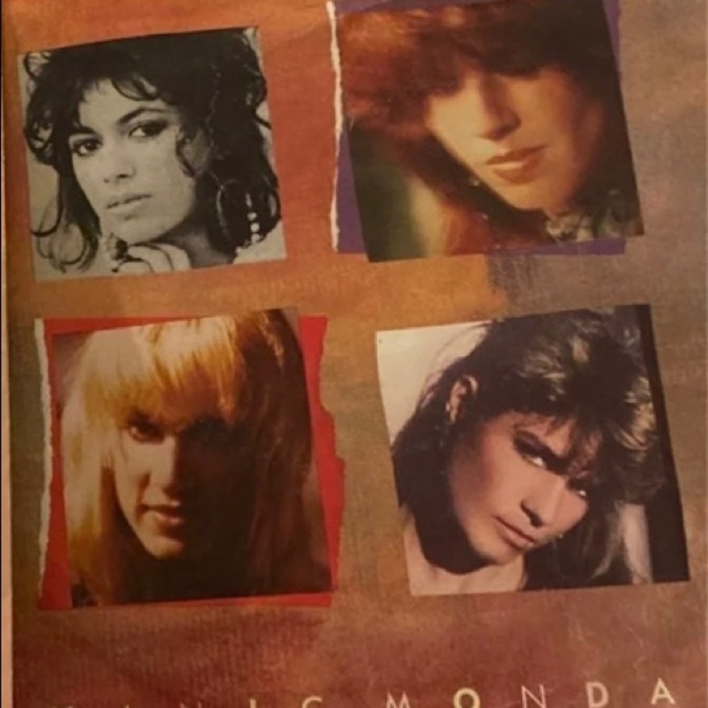 Vinyl record